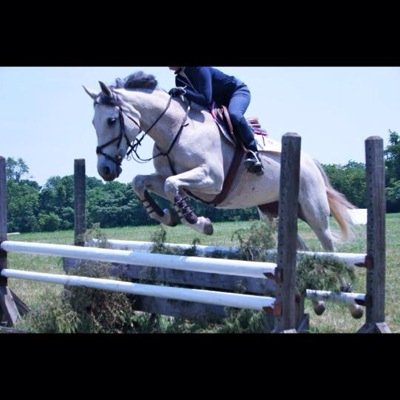 Just for Easy Breezy Beautiful Covergirl and her amzing owner/rider