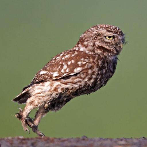 arjund42's profile picture. 