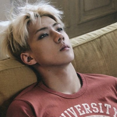 EXO /12 April, 1994 / Lead Dancer, Rapper, Sub-Vocalist, Maknae of EXO-K / SM Entertainment [ I'm not the real one ]