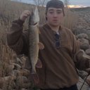 brandon whitfield - @whitfield69 - Twitter