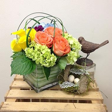 Local florist serving Haymarket, Gainesville, Bristow, Catharpin, Broad run, Aldie, Warrenton, Chantilly, Centreville and parts of Manassas