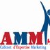 AMMI_MarkeTIC (@ammiyeelengroup) Twitter profile photo