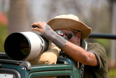 nitinv_29's profile picture. An engineer by education and profession. Keen interest in wildlife, nature and travel photography.  Founder of  fototrails-photo tours and travel facilitator.