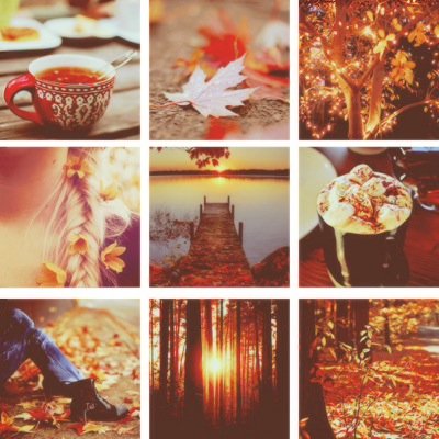 all things autumn, and fall.