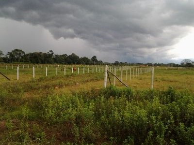 newtab733's profile picture. 