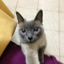 Pablo Guardiola - @pjguardiola79 - Twitter