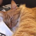 Kelli Mae - @kellimae - Twitter