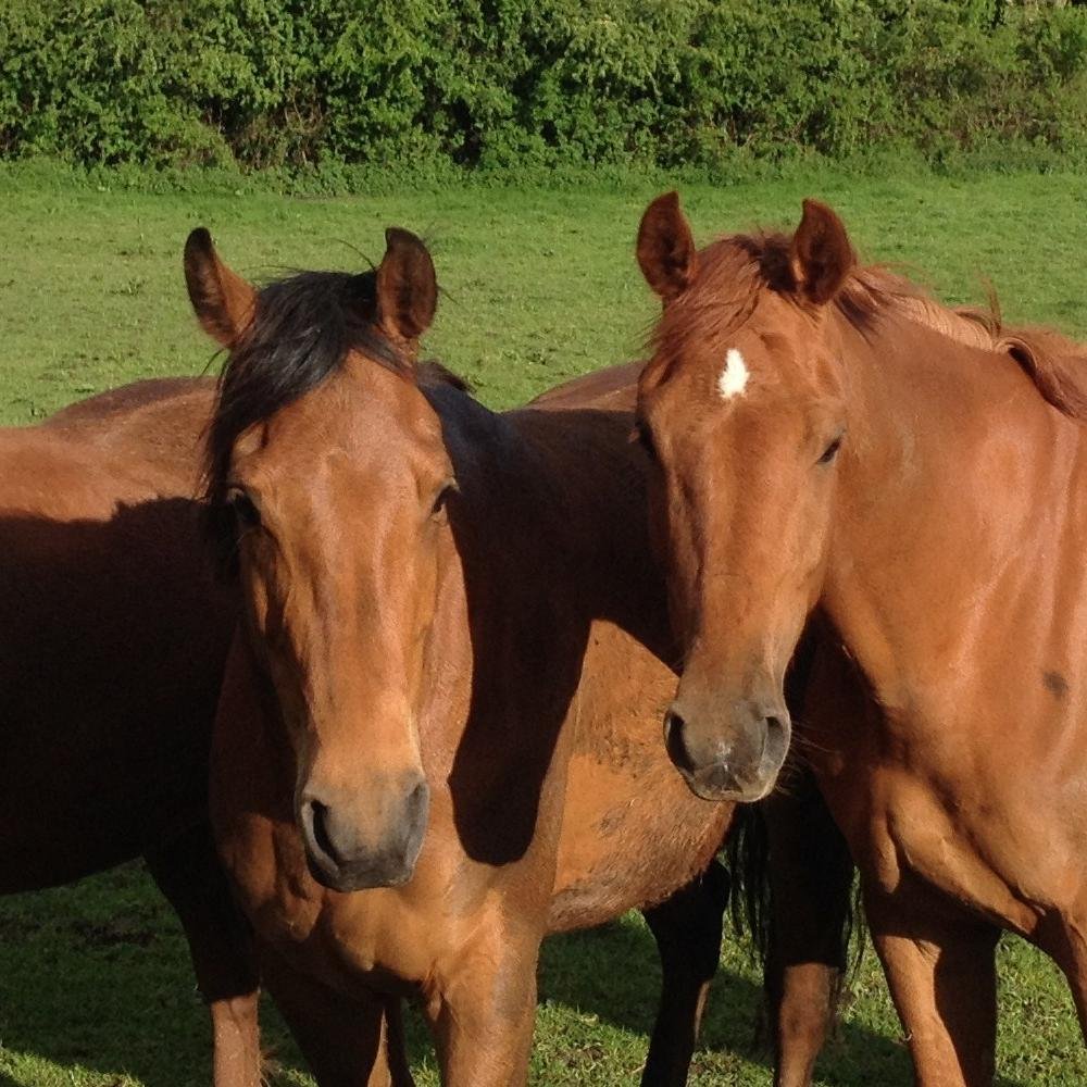 FJoeCallan's profile picture. 