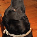 Rafael Cindy - @RafaelCindy1 - Twitter