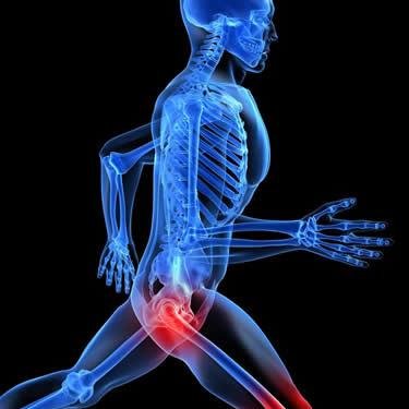 Quality body work tailored to your needs. Whether you are a world class athlete or sit behind a desk all day, you can benefit from an integrated massage.