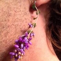 Colin Phillimore (@colphilli) 's Twitter Profile Photo