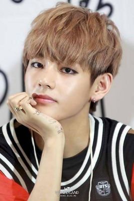 i luv bts v
