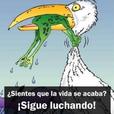 Q viva el voto en blanco ...