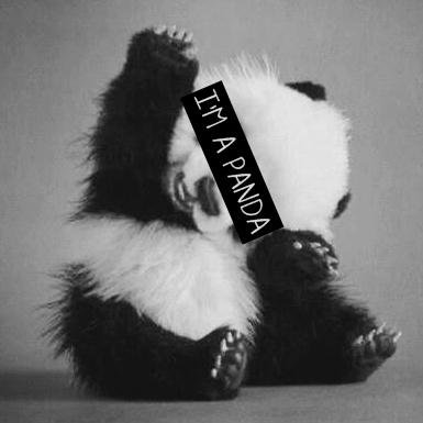 keylafloresb's profile picture. Dios es mi todo !! ahh me encanta la música ►...