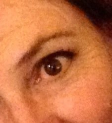 lauriefriday's profile picture. Passion for color. Sonoma County native. Prefer to be invisible while moving mountains.