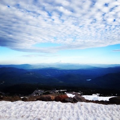 bryanlurie's profile picture. 