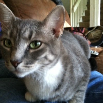 sammicat73's profile picture. 