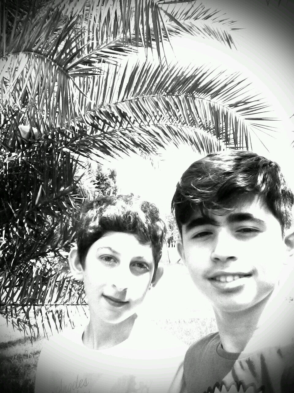 krc_ege's profile picture. 