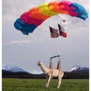 Melody Noble - @MelsNoble - Twitter