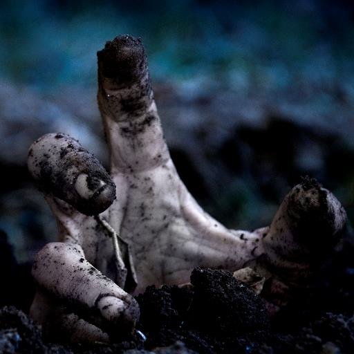 survivorjournal's profile picture. Audio Drama series centred around characters caught up in a Zombie apocalypse.  Premieres Tues 19th August 2014