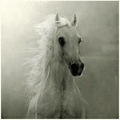 PilarPeon52's profile picture. 