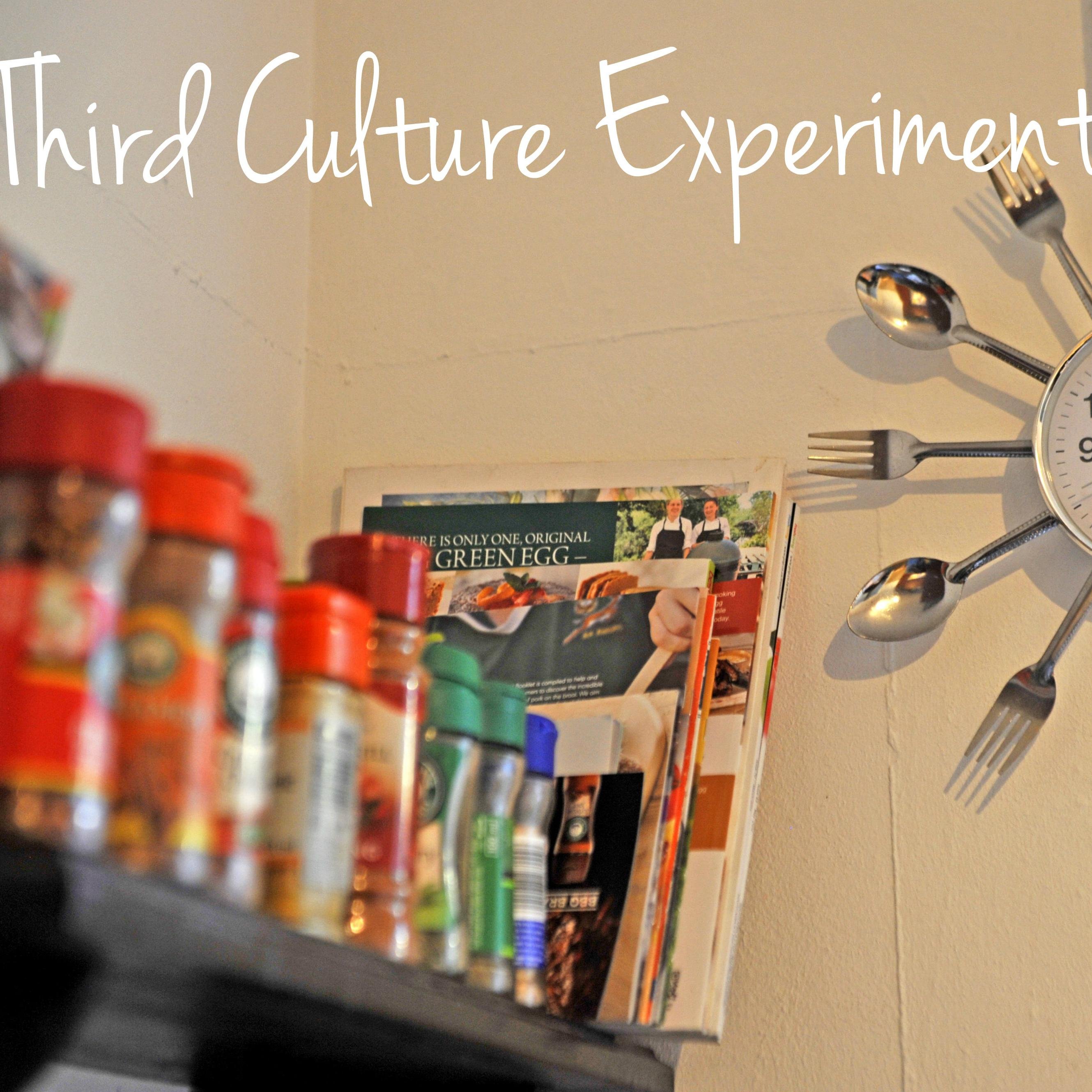 ThirdCultureX's profile picture. Third Culture Kid (n): Kids raised in a culture outside of their parents' for a stint. In 2014 we all qualify. So come mingle while enjoying delectable food.