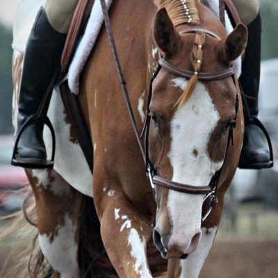 I love riding, training, and showing horses, hunting, fishing, well pretty much anything outdoors, and hanging out with my e-team girls :) 3
