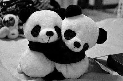 segue aqui bb's sigo todos de volta ♥