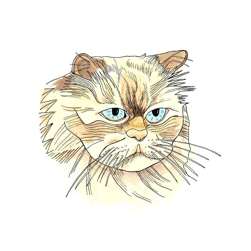 kellyparsellart's profile picture. interdisciplinary maker and self-proclaimed cat whisperer