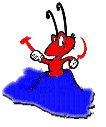 RAFAMA2006's profile picture. Salvadoreño,  librepensador y otras yerbas….