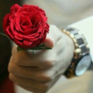 inst: @ v.5.m