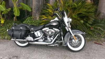 BoudreauxHarley's profile picture. Professional Wanderer