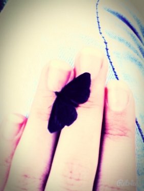 Rumi_meloDY's profile picture. 13 | singer | danser ;)