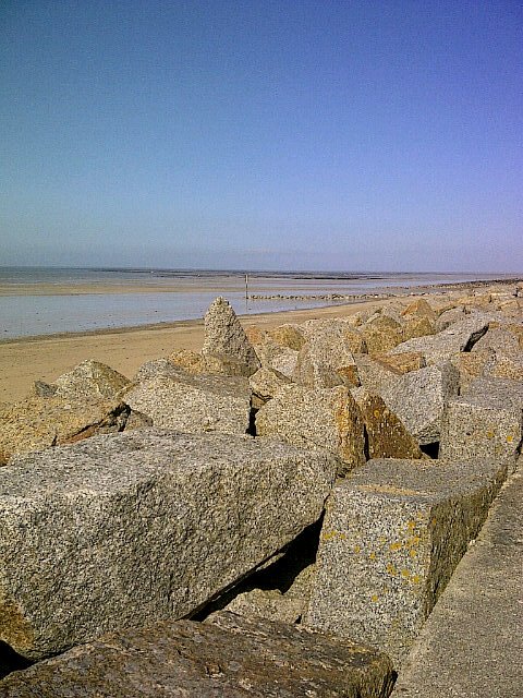 gmletrot's profile picture. 