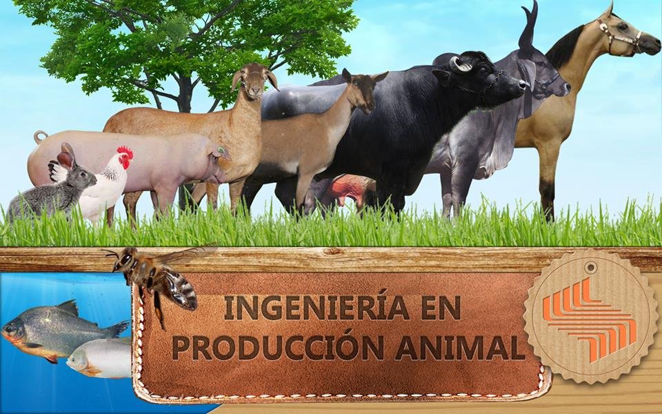 victorsequeda (@vitoko0110) | Twitter