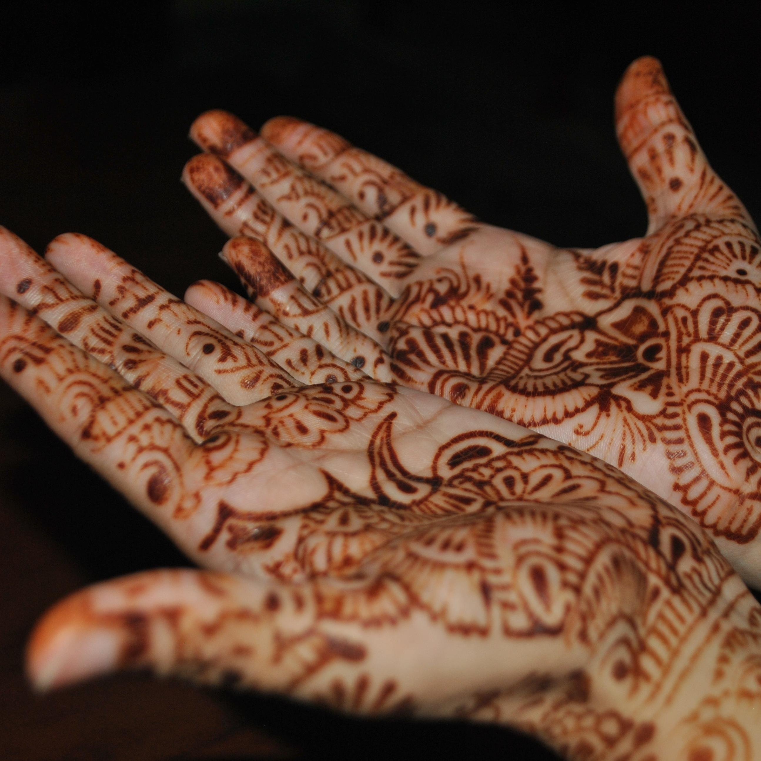 |Capricorn| |A Bit Stubborn| |Pet Lover| |Addicted to Serials| |Caring|
|Proud Being Muslim And Pakistani|
Don't DM plzz i will Block