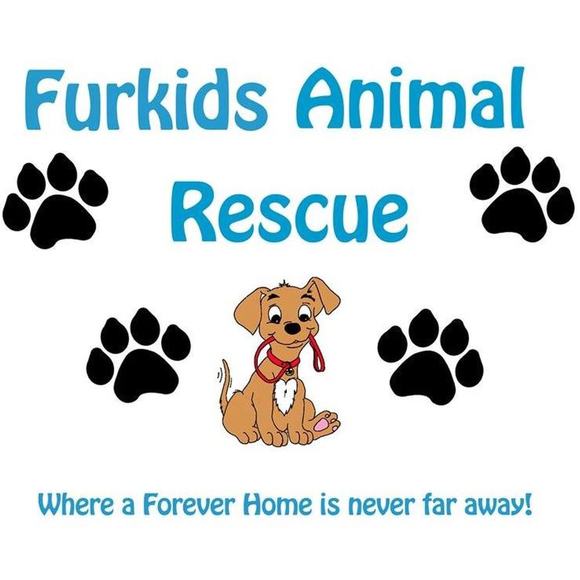 FURKIDS ANIMAL RESCUE ADOPTIONS
Dogs & Puppies re homed into loving environments after being saved from pounds, neglect, abuse & family breakups.