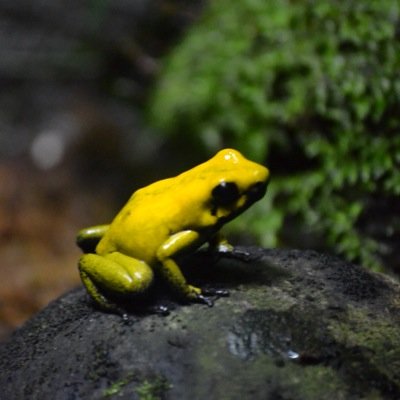 Hey call me nat i love all things nature and ecofriendly. I follow back