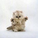 Debbie Weeks-burton - @WeeksBurton - Twitter