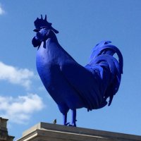 Ruth Hollier (@ruthhollier) 's Twitter Profile