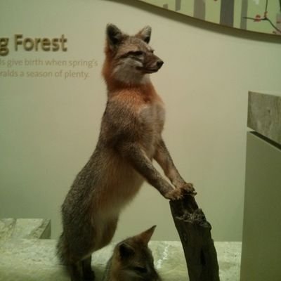 qiuey00's profile picture. How's life?