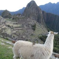 johnspot (@spotter21787) 's Twitter Profile