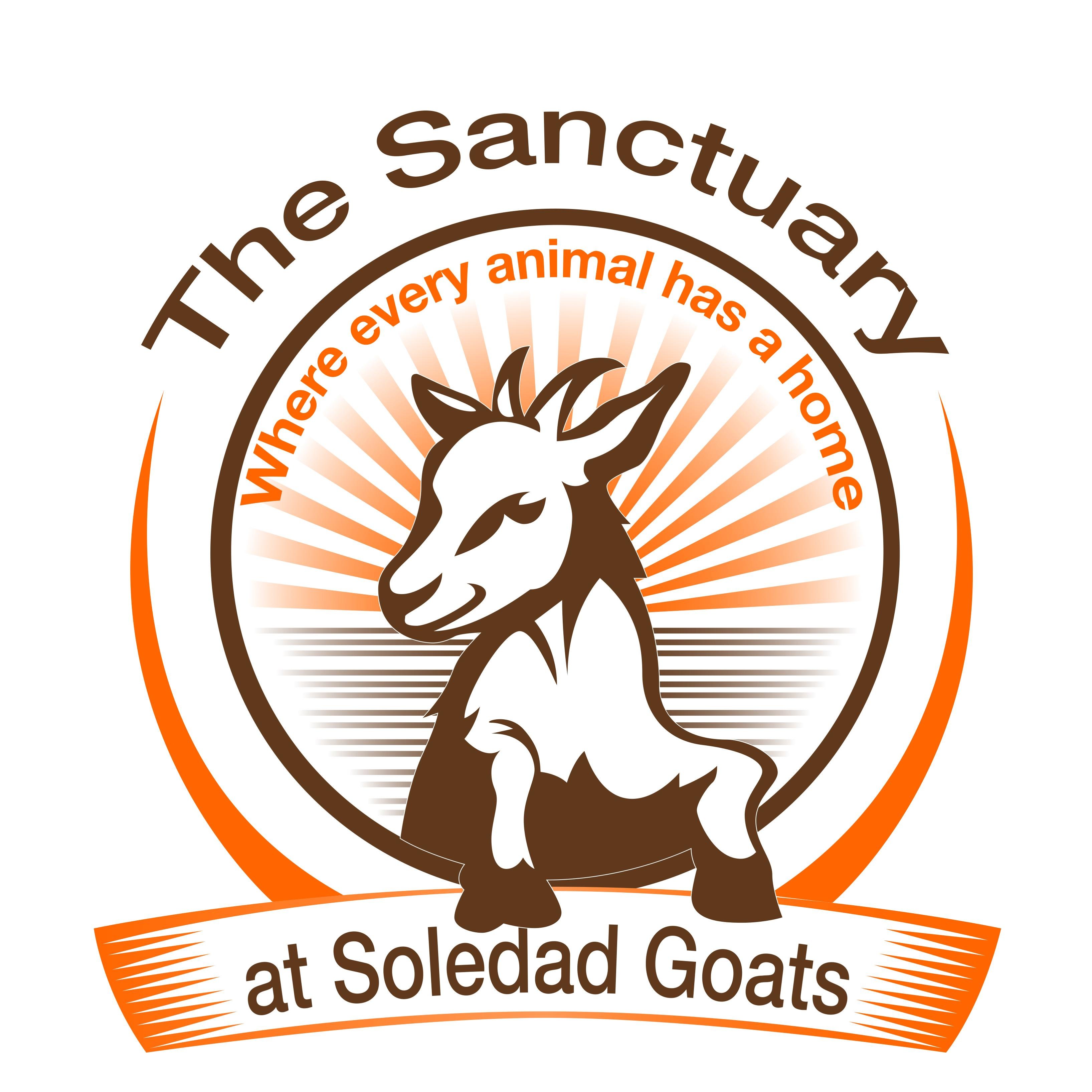 We're a former goat dairy farm that went completely vegan in 2015! We now make artisan vegan cheese that funds our sanctuary for rescued farm animals.