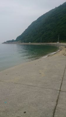 rabbits7188's profile picture. 