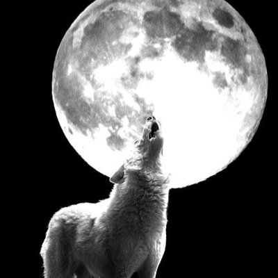 altatrucker's profile picture. 