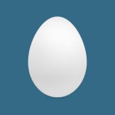 shark21114 Profile Picture