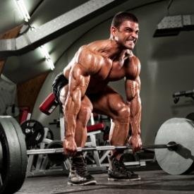 A guide to fitness success while in college. Also conveniently provides you with free contests from various supplement companies.