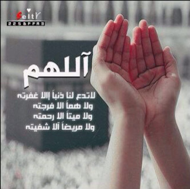 hamoudrasyid's profile picture. 