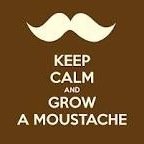 kittylover114's profile picture. 