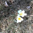 debbrennan - @DebYorkSprings - Twitter